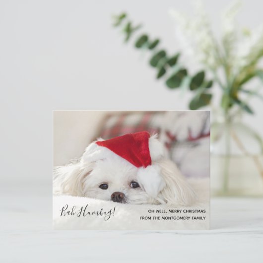 Cute Funny White Dog Kerstmis Bah Humbug Feestdagenkaart (Staand voorkant)