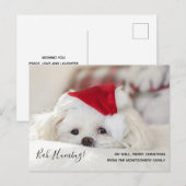 Cute Funny White Dog Kerstmis Bah Humbug Feestdagenkaart (Voorkant / Achterkant)