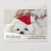 Cute Funny White Dog Kerstmis Bah Humbug Feestdagenkaart (Voorkant)