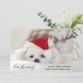 Cute Funny White Dog Kerstmis Bah Humbug Feestdagenkaart (Staand voorkant)