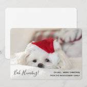 Cute Funny White Dog Kerstmis Bah Humbug Feestdagenkaart (Voorkant / Achterkant)