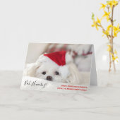 Cute Funny White Dog Kerstmis Bah Humbug Kaart (Gele Bloem)