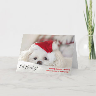 Cute Funny White Dog Kerstmis Bah Humbug Kaart