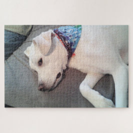 Cute Funny White Puppy Dog Brooding op Couch Legpuzzel