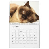 Cute Furry Friends Cat Calendar Kalender (Feb 2027)