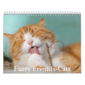 Cute Furry Friends Cat Calendar Kalender (Hoes)