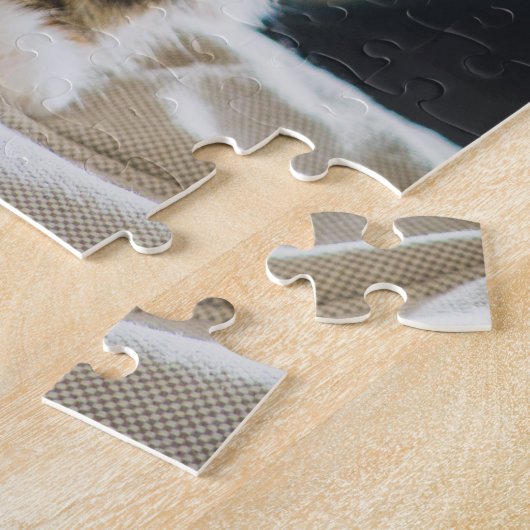 Cute Fuzzy Calico Tabby Kitten Cat Foto Legpuzzel (Zijkant)