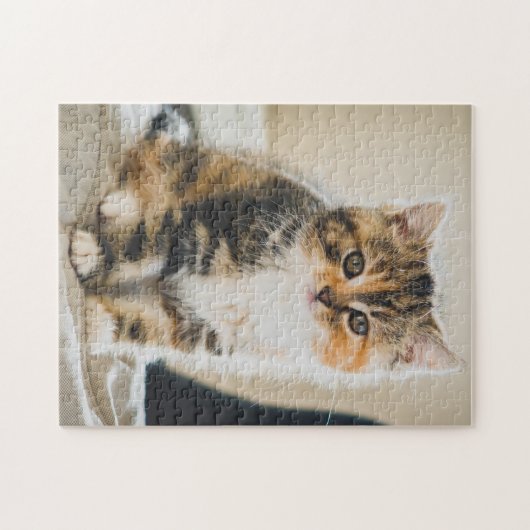 Cute Fuzzy Calico Tabby Kitten Cat Foto Legpuzzel (Horizontaal)
