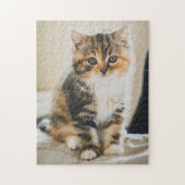 Cute Fuzzy Calico Tabby Kitten Cat Foto Legpuzzel (Verticaal)