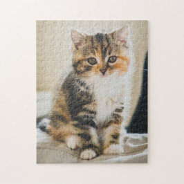 Cute Fuzzy Calico Tabby Kitten Cat Foto Legpuzzel