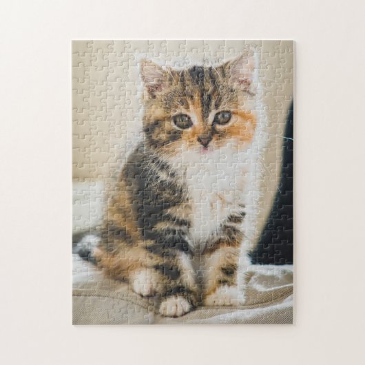 Cute Fuzzy Calico Tabby Kitten Cat Foto Legpuzzel (Verticaal)
