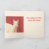 Cute Fuzzy Llama krijgt goed Kaart (Binnen)