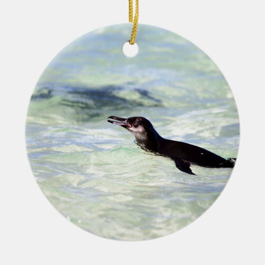 Cute Galapagos pinguin zwemmen Keramisch Ornament (Voorkant)