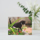 Cute Garden Kitten Briefkaart (Staand voorkant)