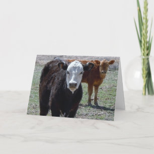 Cute Gefeliciteerd Vet Afstuderen - Ranch Boerderi Kaart