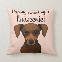 Cute Gelukkig Eigenaar Chiweenie | Chihuahua Dachs