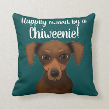 Cute Gelukkig Eigenaar Chiweenie | Chihuahua Dachs