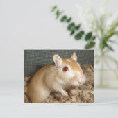 Cute Gerbil Briefkaart (Staand voorkant)