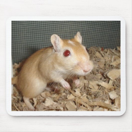 Cute Gerbil Muismat (Voorkant)