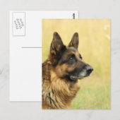 Cute German Shepherd Briefkaart (Voorkant / Achterkant)