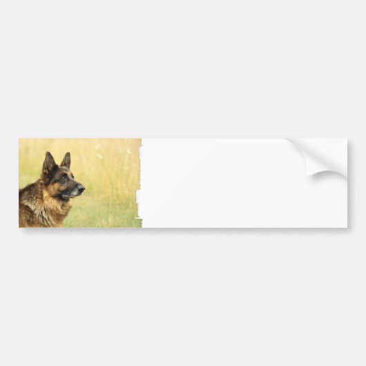 Cute German Shepherd Bumpersticker (Voorkant)