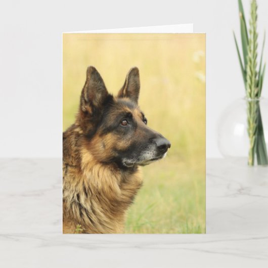 Cute German Shepherd  Greeting Cards Kaart (Voorkant)