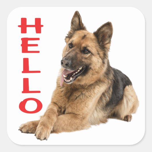 Cute German Shepherd Hallo Puppy Dog Vierkante Sticker (Voorkant)