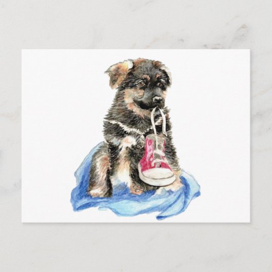Cute German Shepherd Pup, Dog, Pet animal Briefkaart (Voorkant)