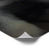 Cute German Shepherd Puppies Poster (Hoek)