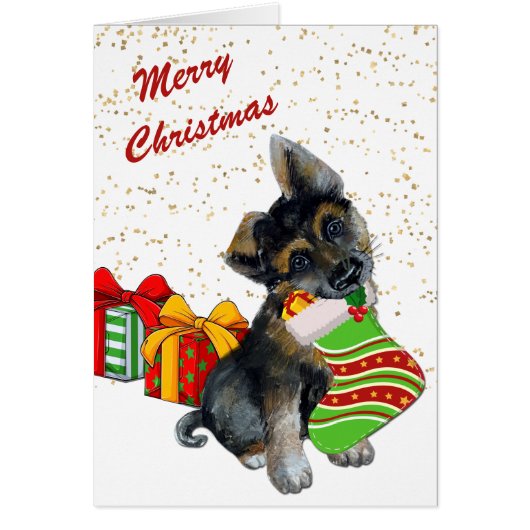 Cute German Shepherd Puppy and Stocking (Voorkant)