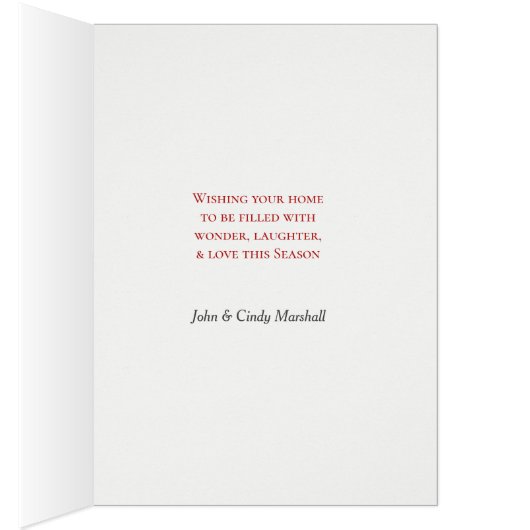 Cute German Shepherd Puppy and Stocking (Binnen (Rechts))