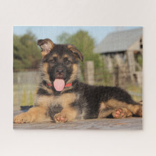 Cute German Shepherd Puppy Dog Legpuzzel