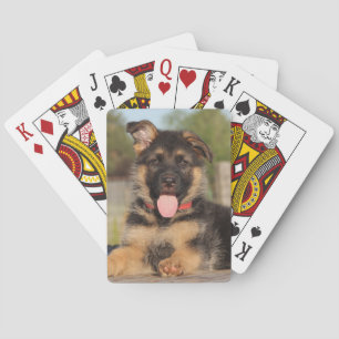 Cute German Shepherd Puppy Dog Pokerkaarten