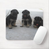 Cute German Shepherd Puppy Muismat (Met muis)
