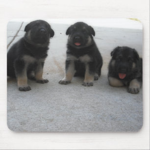 Cute German Shepherd Puppy Muismat