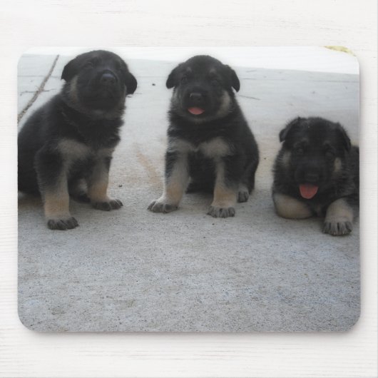 Cute German Shepherd Puppy Muismat (Voorkant)