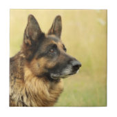 Cute German Shepherd Tile Tegeltje (Voorkant)