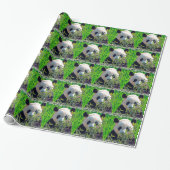 Cute Giant Panda-Beer met lekkere bamboe-bladeren Cadeaupapier (Uitgerold)