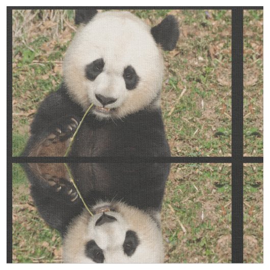 Cute Giant Panda Beer Stof (Close Up)