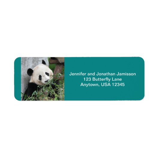 Cute Giant Panda Beer, Turquoise, Return Address Etiket (Voorkant)