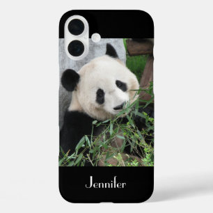 Cute Giant Panda, Black Background, Custom Name iPhone 16 Plus Hoesje