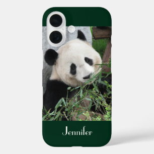 Cute Giant Panda Dark Green Background, Name iPhone 16 Hoesje