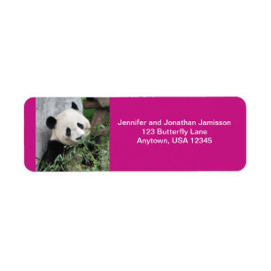 Cute Giant Panda, Hot Pink Return Address Etiket