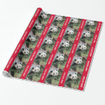 Cute Giant Panda Merry Christmas Wrapping Paper Cadeaupapier<br><div class="desc">This colorful wrapping paper, using my originate fotograph of a cute giant panda bear, is a enige way to wrap Christmas gifts. Foto was taken in China. Great for people who love pandas! The bright red borders are very festival. Text says "Merry Christmas!" but you can easily modify it or...</div>