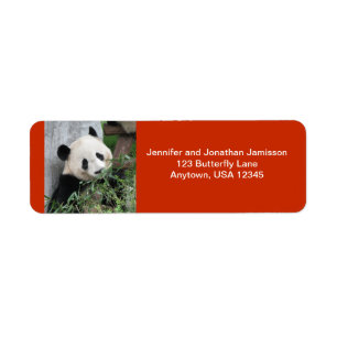 Cute Giant Panda, Oranje Return Address Etiket