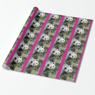 Cute Giant Panda Wrapping Paper, Hot Pink Trim Cadeaupapier