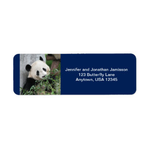 Cute Giant Pandas, Dark Blue, Return Address Etiket