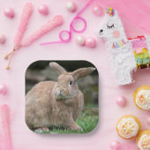 Cute ginger bunny met grote borden papieren bordje (Feest)