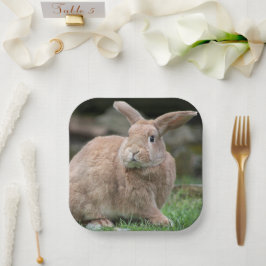 Cute ginger bunny met grote borden papieren bordje