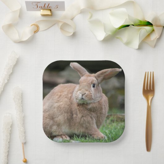 Cute ginger bunny met grote borden papieren bordje (Huwelijk)